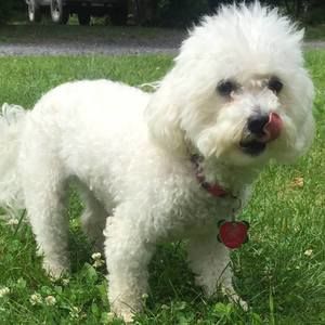 Meet your Posher, Laural